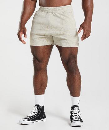 Pánské Šortky Gymshark Power 5" Šedé | CZ 2823NWY